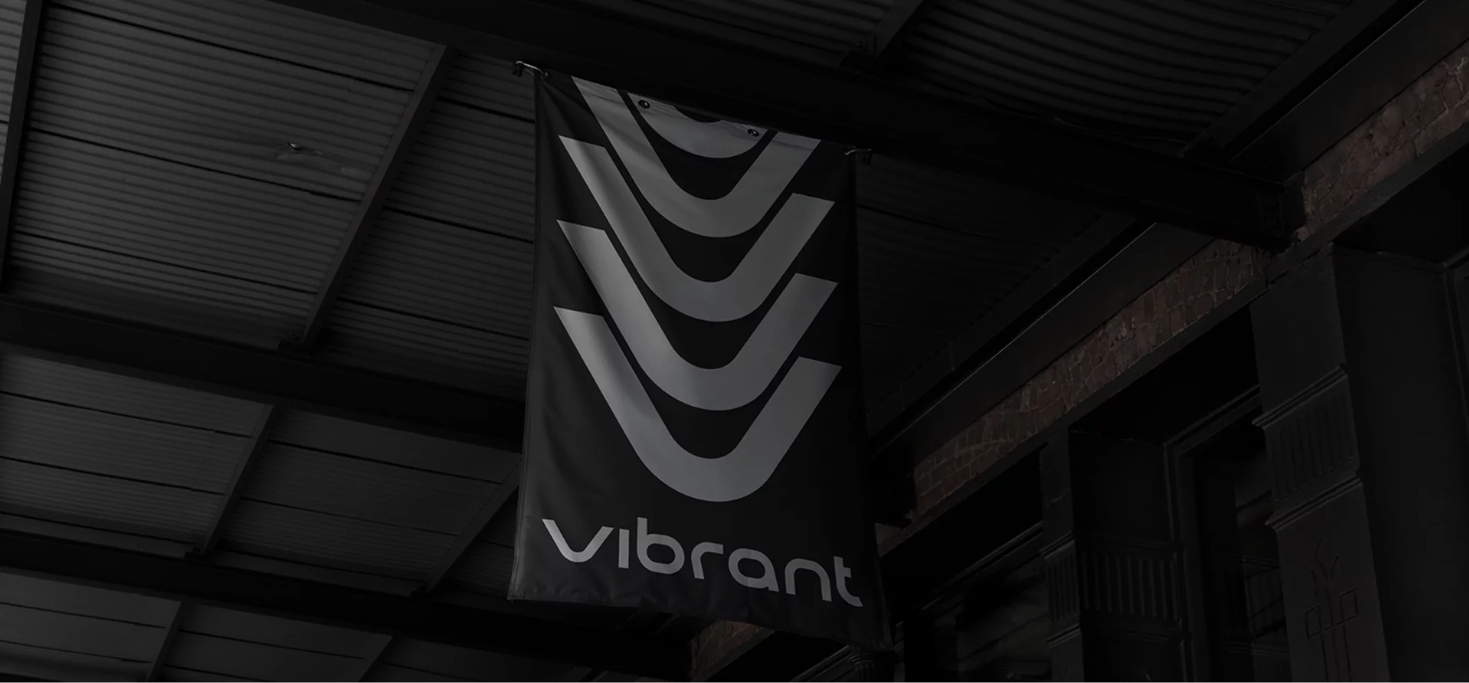 Vibrant Performance