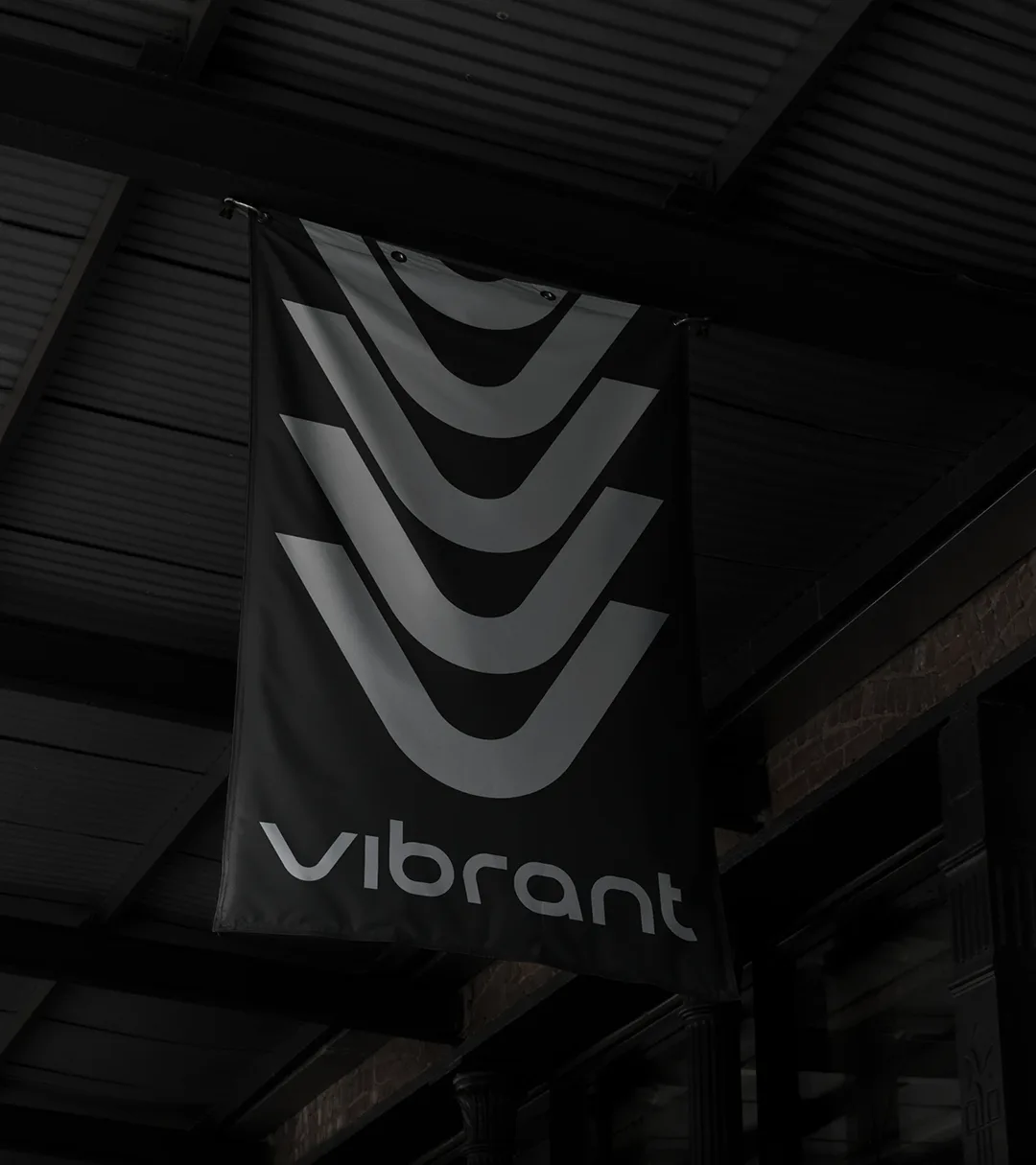 Vibrant Performance